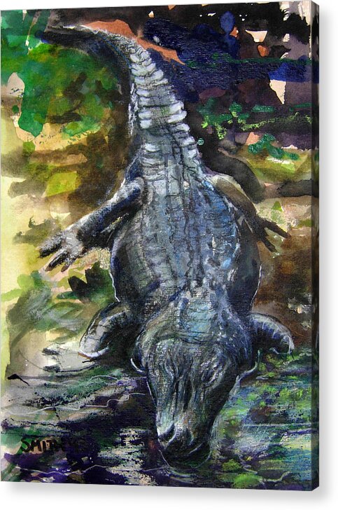 Alligator Swamps Florida Acrylic Print featuring the painting Gator Aid by Tom Smith