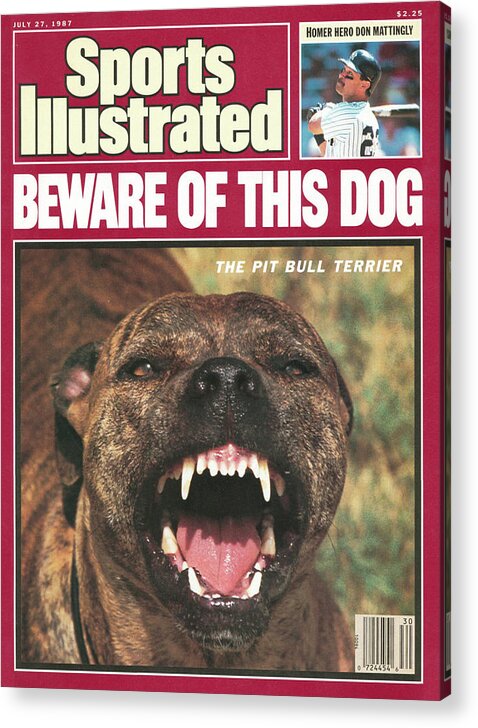 Magazine Cover Acrylic Print featuring the photograph Beware Of This Dog Pit Bull Terrier Sports Illustrated Cover by Sports Illustrated