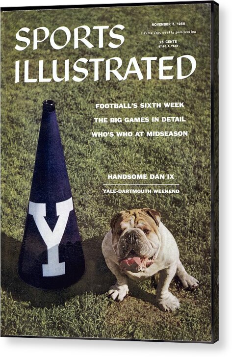 Magazine Cover Acrylic Print featuring the photograph Yale Bulldogs Mascot Sports Illustrated Cover by Sports Illustrated