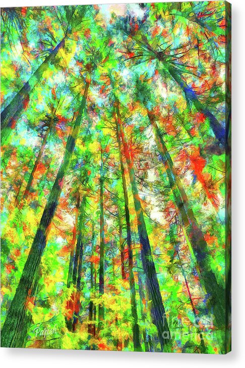Pacific Northwest Acrylic Print featuring the photograph Colorful Forest #4 by Susan Parish
