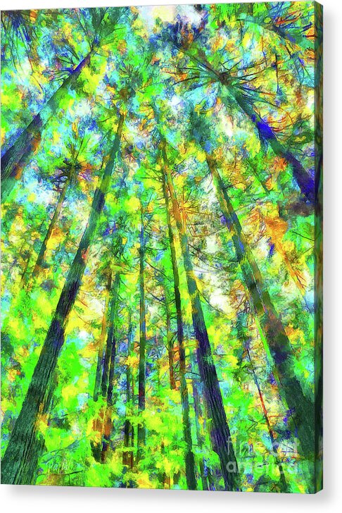 Pacific Northwest Acrylic Print featuring the digital art Colorful Forest #5 by Susan Parish