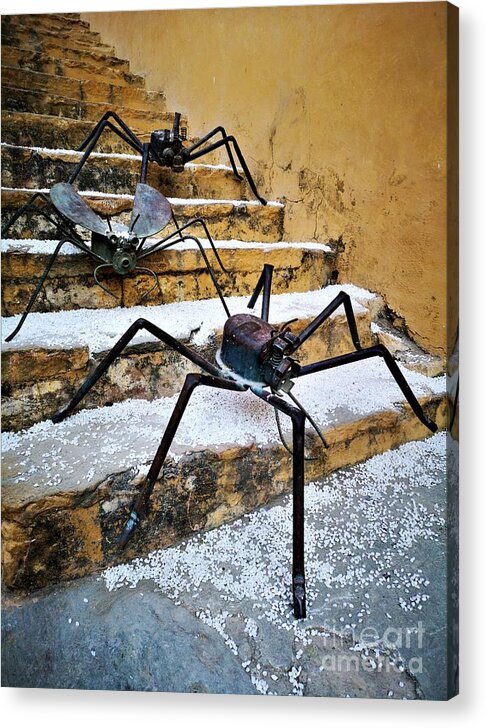 Insect Sculptures Acrylic Print featuring the photograph Creepy Crawlers by Jarek Filipowicz