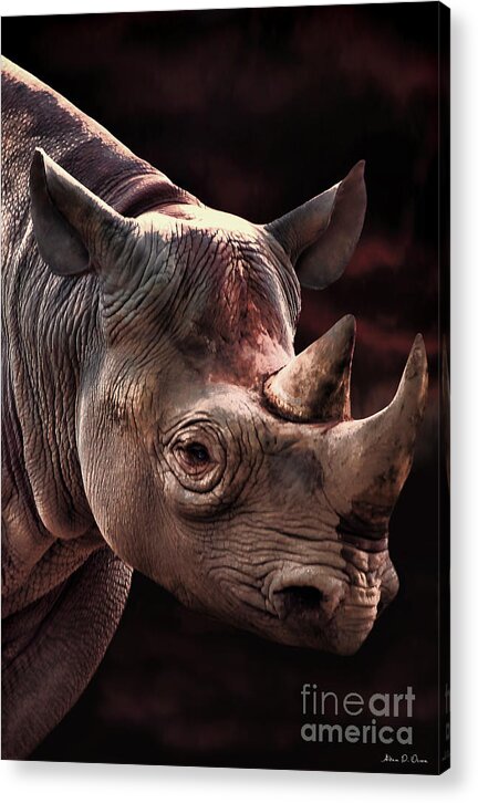 Rhino Acrylic Print featuring the photograph Poachers Moon by Adam Olsen