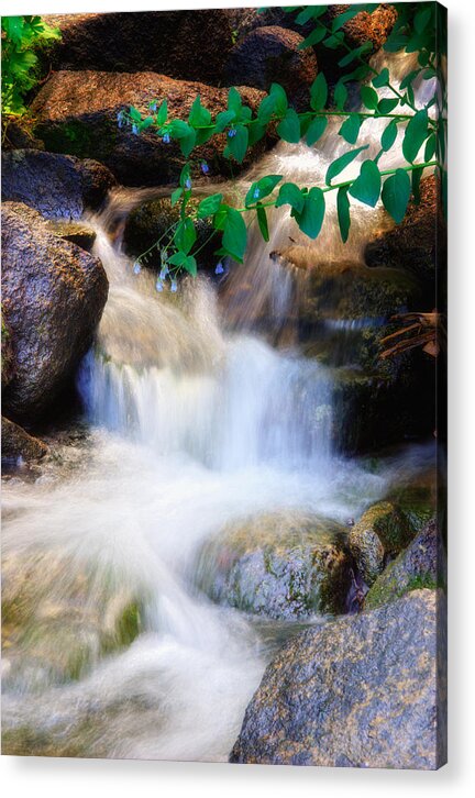 Stream Acrylic Print featuring the photograph Mountain Stream Wasatch Mts. Utah by Douglas Pulsipher