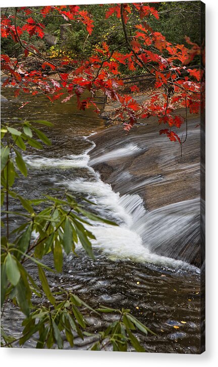 Waterfalls Acrylic Print featuring the photograph Red Leaf Falls by Ken Barrett
