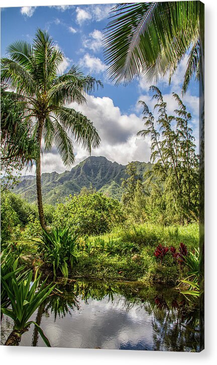 Kahaluu Acrylic Print featuring the photograph Paradise Pond - Kahaluu - Oahu, Hawaii, USA - 2011 2/10 by Robert Khoi