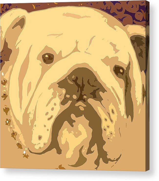Bull Dog Acrylic Print featuring the painting English Bully by Holly Picano