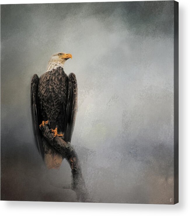 Usa Acrylic Print featuring the photograph High Perch - Bald Eagle - Wildlife by Jai Johnson