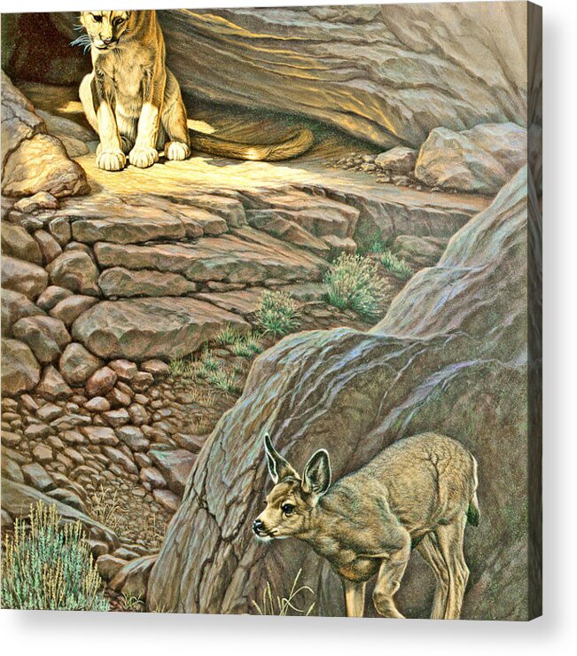 Wildlife Acrylic Print featuring the painting Interruption-Cougar and Fawn by Paul Krapf