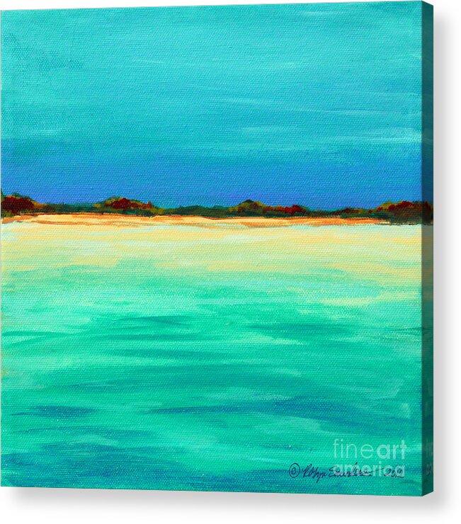 Beach Caribbean Paintings Acrylic Print featuring the painting Iguana Island Ahead by Robyn Saunders