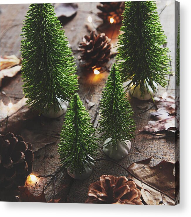 Celebration Acrylic Print featuring the photograph Little trees with pine cones and leaves by Sandra Cunningham