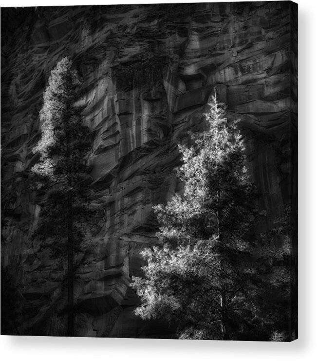 Landscape Acrylic Print featuring the photograph West Fork Rock Face Number Three Black and White by Bob Coates