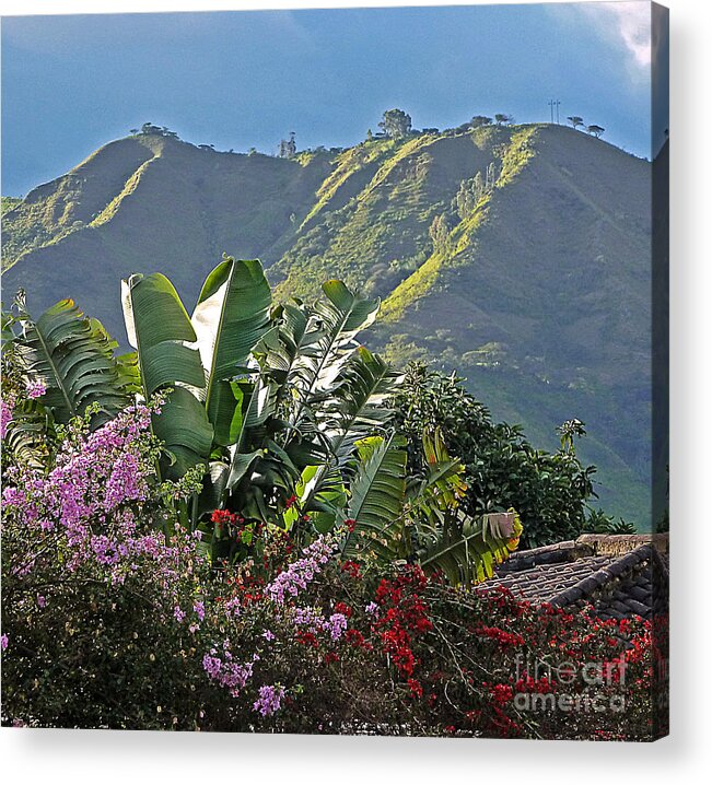 Landscape Acrylic Print featuring the photograph Lush by Julia Springer