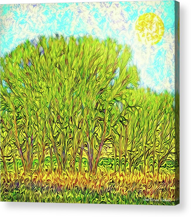 Joelbrucewallach Acrylic Print featuring the digital art Electric Green Trees - Boulder County Colorado by Joel Bruce Wallach
