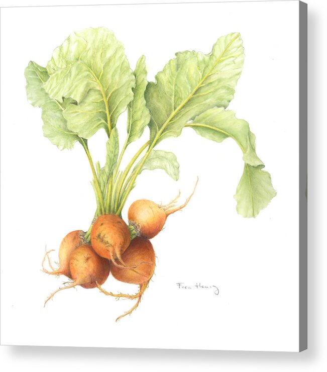 Food Acrylic Print featuring the painting golden beets II by Fran Henig