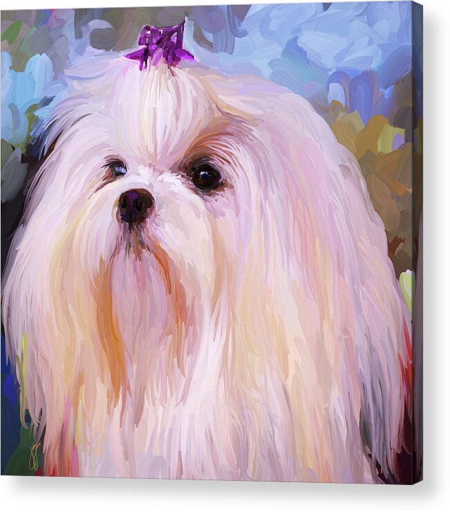 Maltese Acrylic Print featuring the painting Maltese Portrait - Square by Jai Johnson