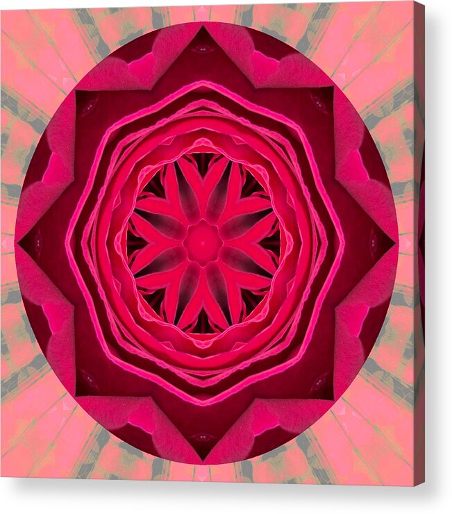 Mandala Acrylic Print featuring the photograph Nature's Mix #2 by Hazy Apple