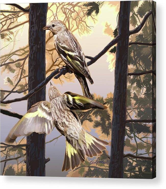 Pine Siskins Acrylic Print featuring the digital art Pine Sisikins Morning Light by Pam Little