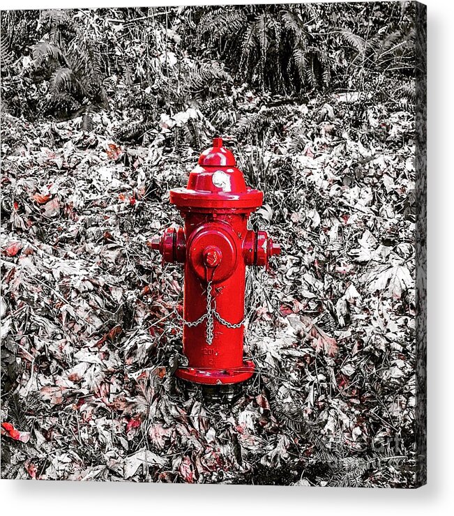 Fire Hydrant Acrylic Print featuring the photograph Red Fire Hydrant by Suzanne Lorenz