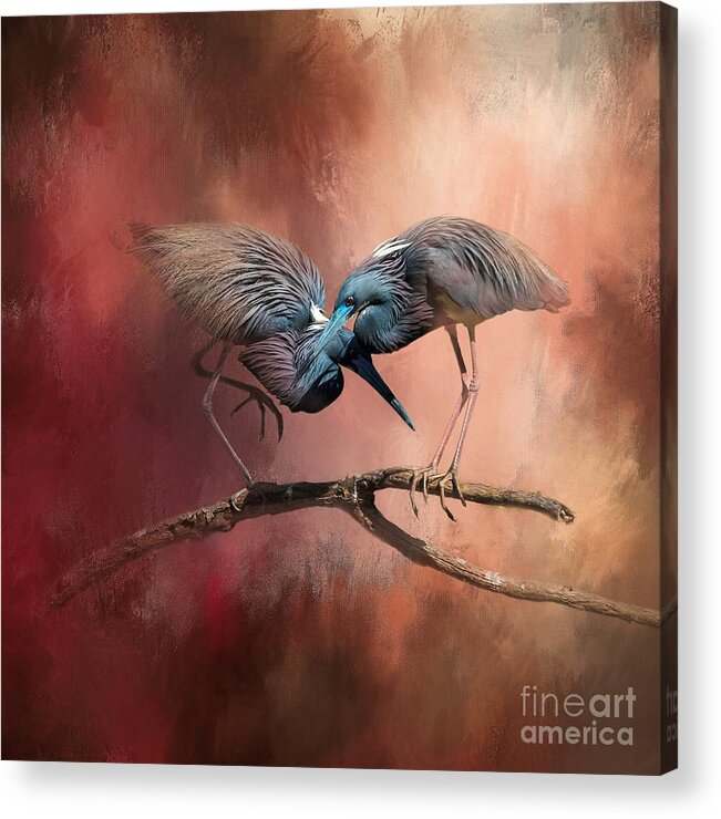 Bird Acrylic Print featuring the mixed media Reunited Again by Marvin Spates