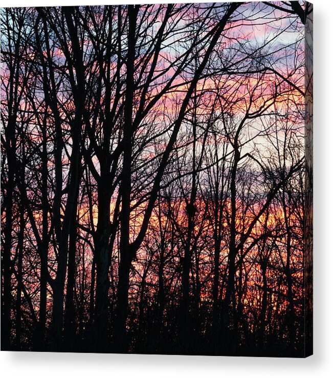 Silhouette And Light Acrylic Print featuring the photograph Sunrise Silhouette And Light by Nick Mares
