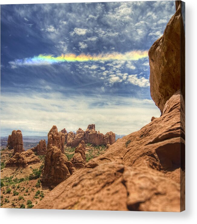 Desert Acrylic Print featuring the photograph Vibrance by Ryan Heffron