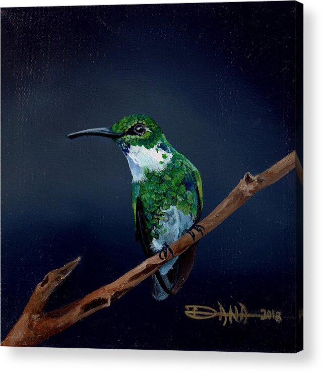 Birds Acrylic Print featuring the painting Emerald Hummer by Dana Newman