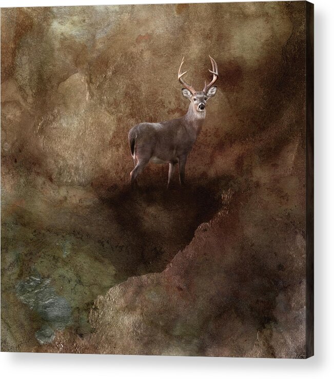 Deer Acrylic Print featuring the photograph Natural Wonder by Jai Johnson