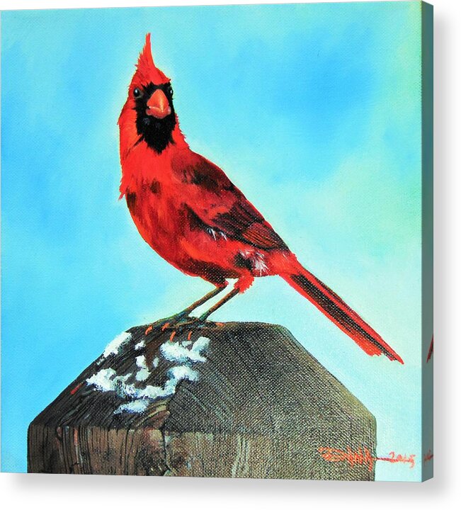 Birds Acrylic Print featuring the painting Winter Cardinal by Dana Newman