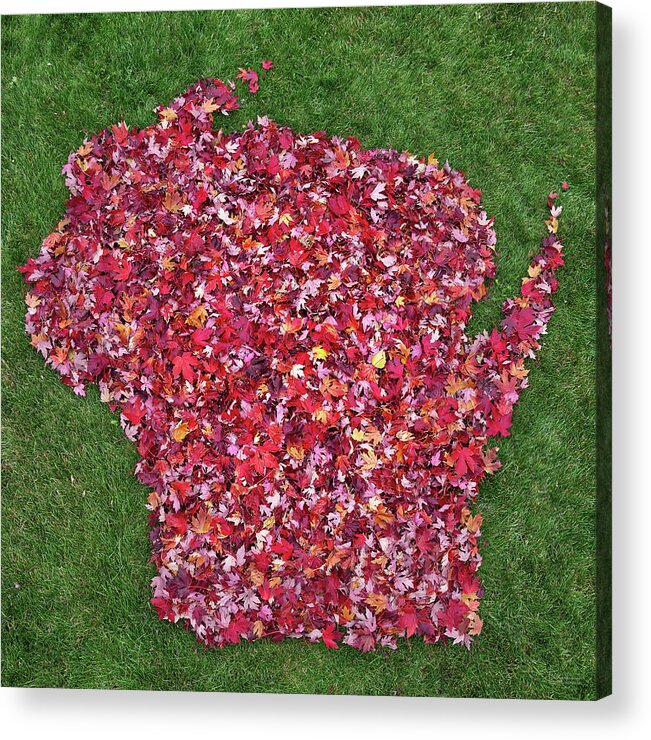Wisconsin Acrylic Print featuring the photograph State Map of Wisconsin in brilliant red maple autumn leaves by Peter Herman