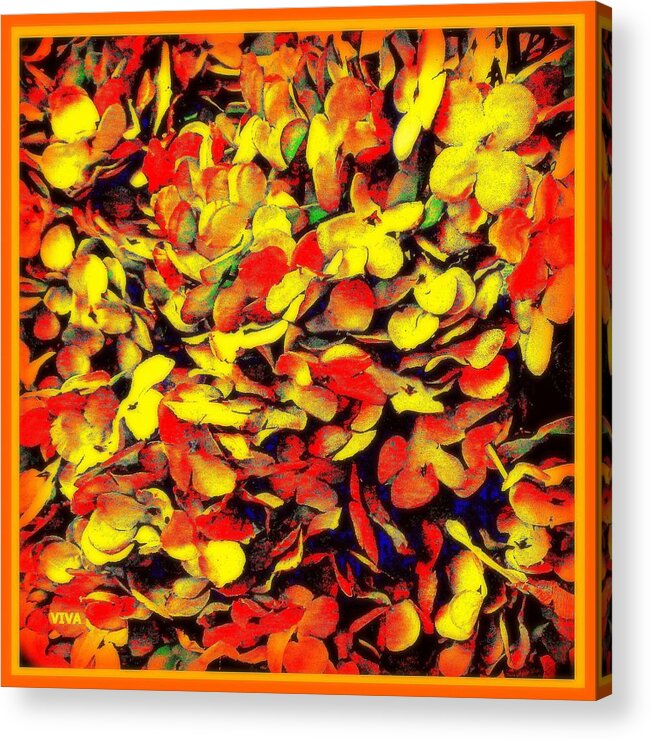 Autumn Acrylic Print featuring the photograph Autumn Splendor  Framed by VIVA Anderson