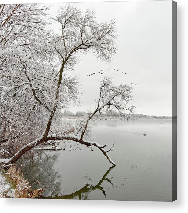 Yahara Acrylic Print featuring the photograph Before the Big Freeze - Winterscape at the Yahara River bridge trail in Stoughton WI by Peter Herman