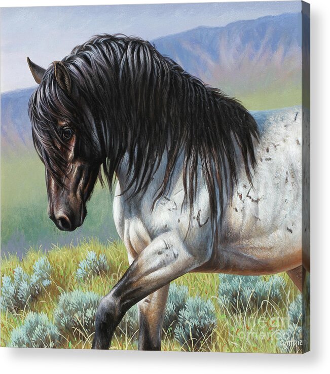 Cynthie Fisher Acrylic Print featuring the painting Blue Roan, Horse by Cynthie Fisher