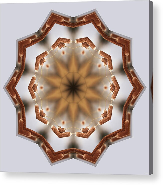 Cattail Acrylic Print featuring the photograph CattailiattaC- Kaleidoscope Mandala of Cattail pair by Peter Herman