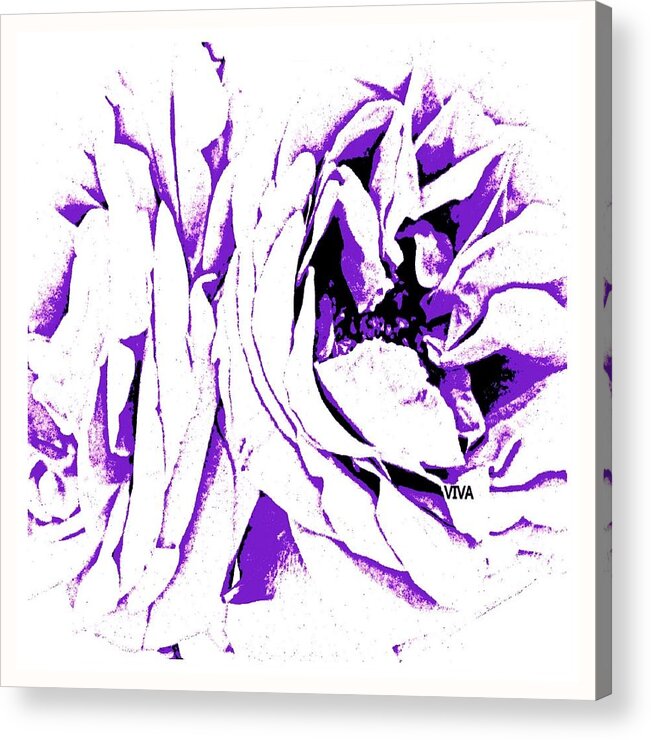 Roses Acrylic Print featuring the photograph ROSES ABSTRACT Purple by VIVA Anderson