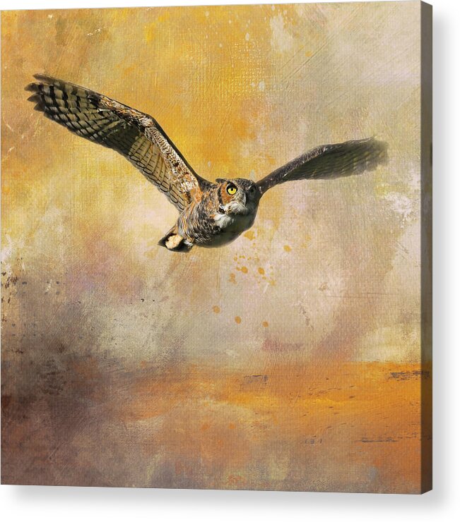 Owl Acrylic Print featuring the photograph Sunny Days Ahead by Jai Johnson