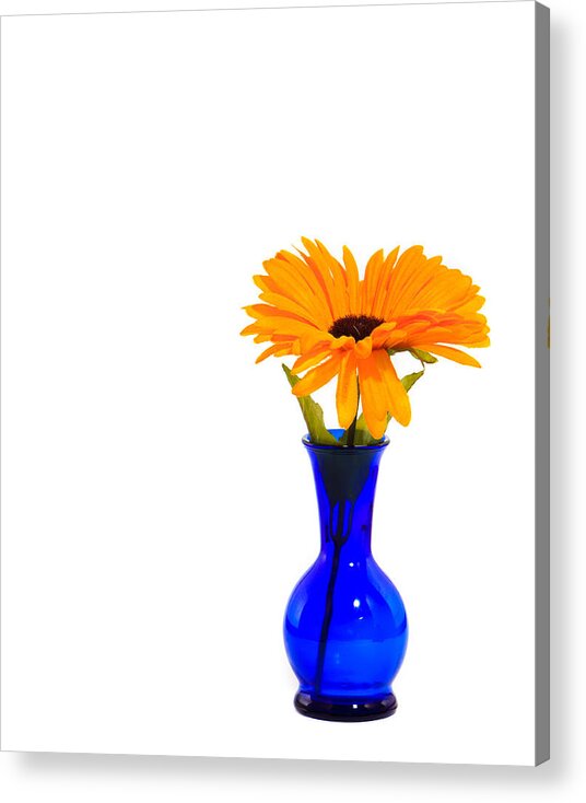 Vase Acrylic Print featuring the photograph Blue Vase by Cecil Fuselier