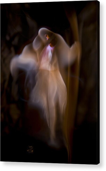 Heart Flame Acrylic Print featuring the photograph Heart Flame by Steven Poulton