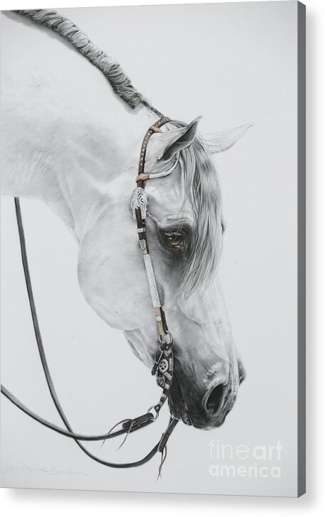 Grey Horse Acrylic Print featuring the pastel Sterling by Joni Beinborn