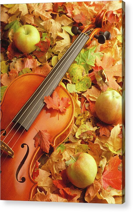Photograph Acrylic Print featuring the photograph Violin with Fallen Leaves #1 by Douglas Pulsipher