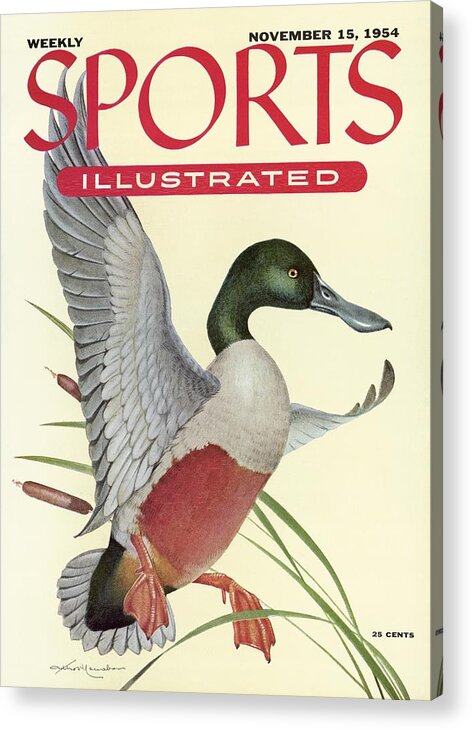Magazine Cover Acrylic Print featuring the photograph Shoveller Duck Sports Illustrated Cover by Sports Illustrated