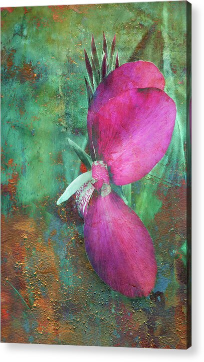 Floral Acrylic Print featuring the digital art Canna Grunge by Greg Sharpe