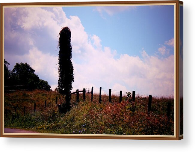 Wilderness Prints Acrylic Print featuring the photograph      Wilderness by R A W M 