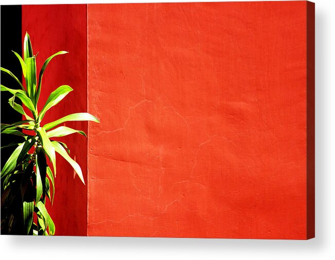 Big Red Wall Acrylic Print featuring the photograph Challenging Circumstances by Prakash Ghai