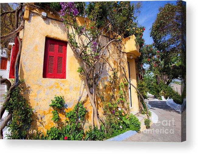 Athens Acrylic Print featuring the photograph Decorated house with plants by Aiolos Greek Collections