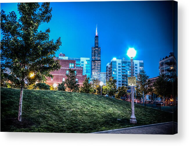 Adams Acrylic Print featuring the photograph Mary Bartelme Park and the Willis Tower by Anthony Doudt