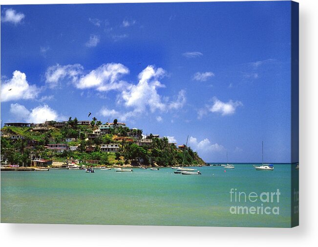 Puerto Rico Acrylic Print featuring the photograph Naguabo Shoreline by Thomas R Fletcher
