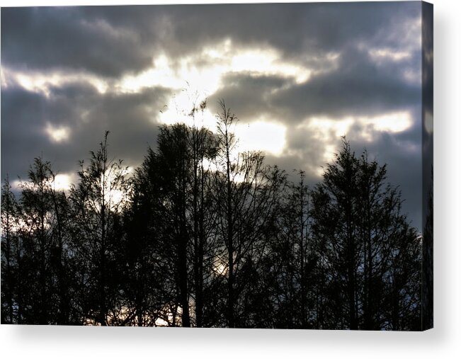 Sunset Acrylic Print featuring the photograph Silhouettes Toward Sunset by Denise Beverly