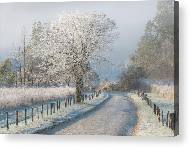 Cadescove Acrylic Print featuring the photograph A Frosty Morning #1 by Chris Moore