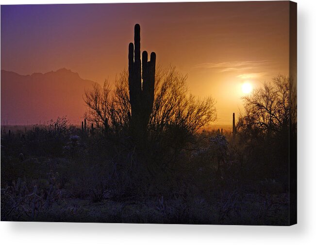 Sunrise Acrylic Print featuring the photograph A Sonoran Morning #1 by Saija Lehtonen